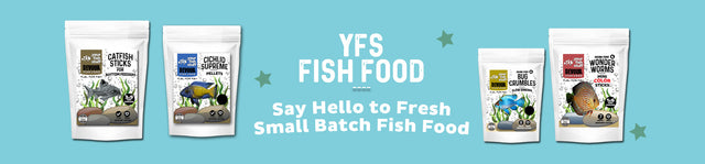 Fish Food