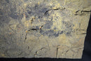 Rocky 3D Background - Brown