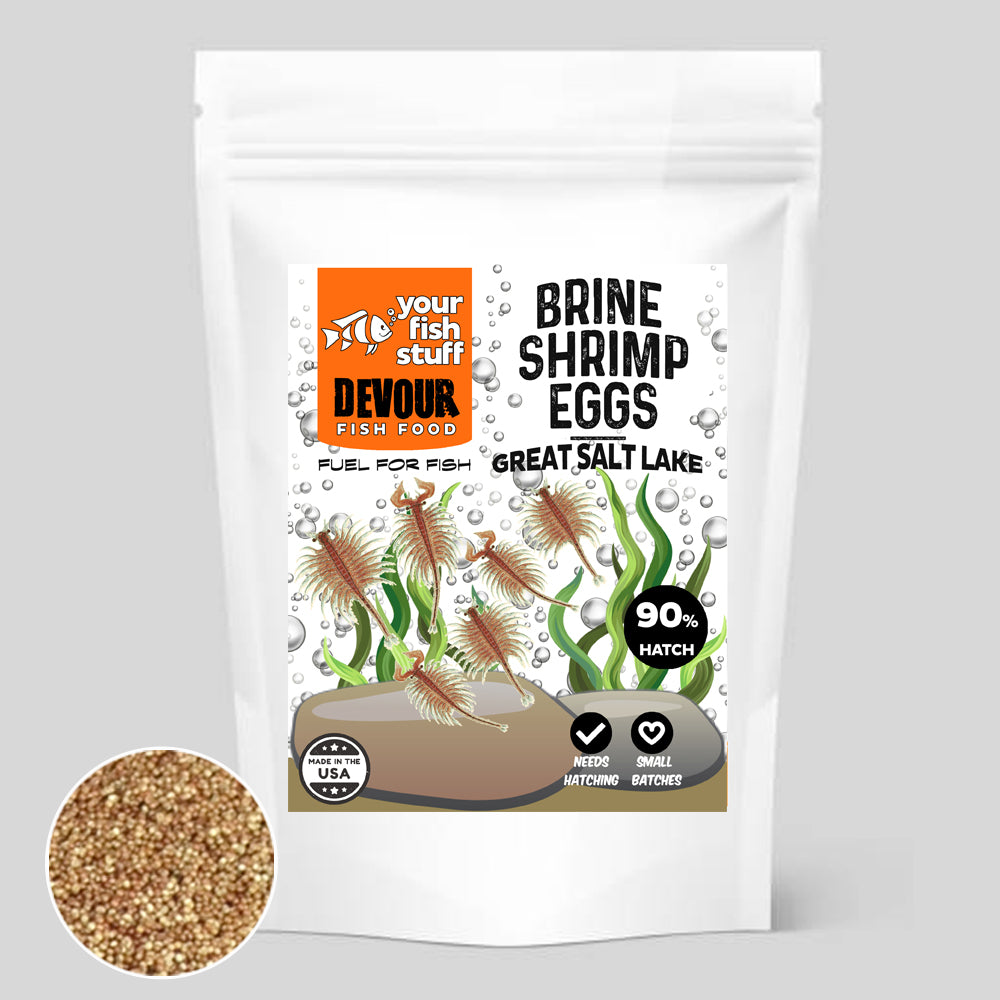 Live Brine Shrimp Eggs live-brine-shrimp-eggs