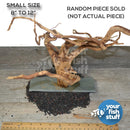 Spiderwood Aquarium Driftwood With Slate