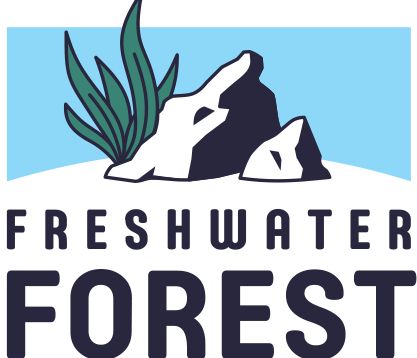 Welcome to Freshwater Forest