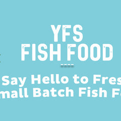 Collection image for: Fish Food