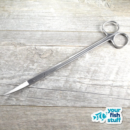 10-inch curved stainless steel aquascaping scissors for precise aquarium plant trimming
