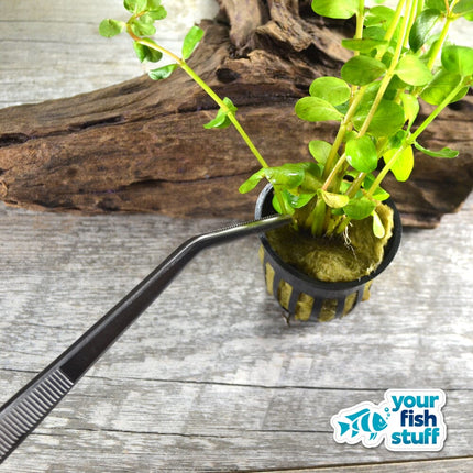 10-inch curved stainless steel aquascaping tweezers for aquarium plants