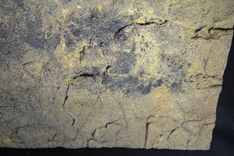 Rocky 3D Background - Brown