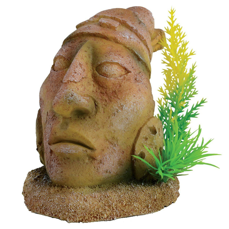 Ancient Stone Head Statue