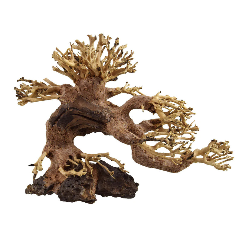 Bonsai Aquarium Wood