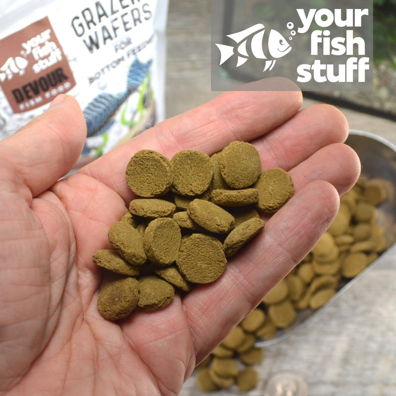 YFS Grazers Wafers Bottom Feeders Fish Food
