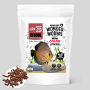 YFS WonderWorms Grain Free Mini Color Sticks Fish Food
