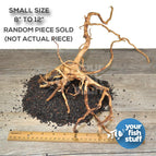 Small- 8