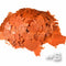 YFS Color Flakes Fish Food
