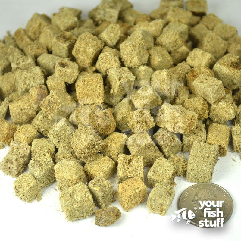 Freeze Dried Tubifex Fish Food