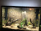Rocky 3D Background - Brown