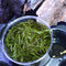 Java Moss (Vesicularia Dubyana)